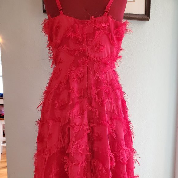 Red Eyelash Lace Cocktail dress - sz 6 - Picture 3 of 5